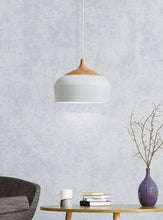 Leevi Pendant Shade