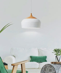 Leevi Pendant Shade