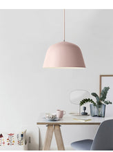 Regis Pastel Hanging Lamp