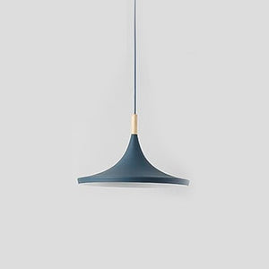 Rayne Hanging Lamp